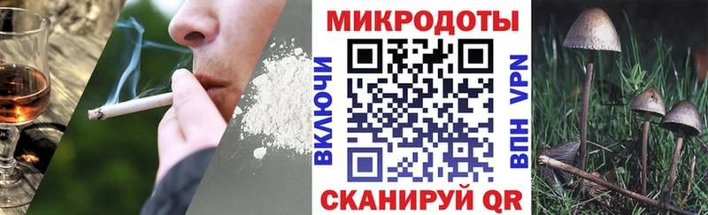 mega рабочий сайт  Биробиджан  Псилоцибиновые грибы Psilocybine cubensis  как найти  