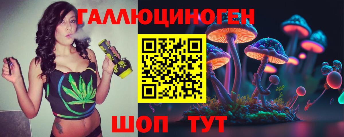 Псилоцибиновые грибы Psilocybe  Вход с VPN  Биробиджан 